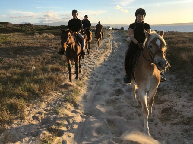  Galopando al atardecer 