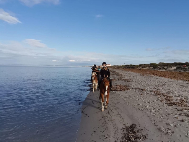  Cabalgando a la orilla del mar 