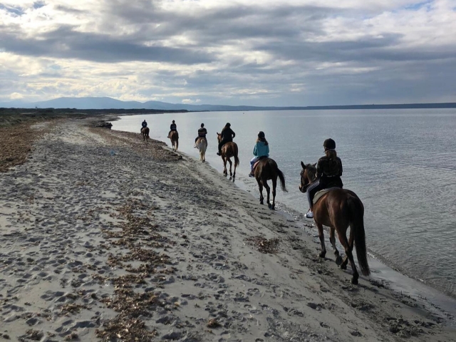  Excursión en grupo a caballo en la playa