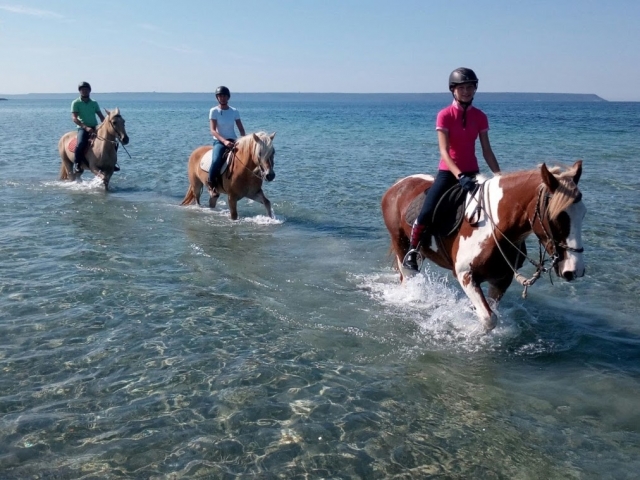  Galopando en las aguas sardas 