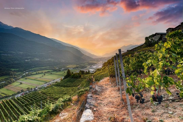  Viñedos de Valtellina 