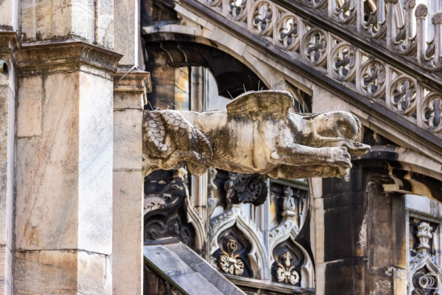  Detalles arquitectónicos de la Catedral 