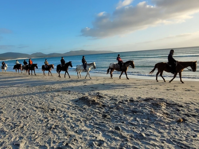 Pbaños a caballo Golfo de Palmas
