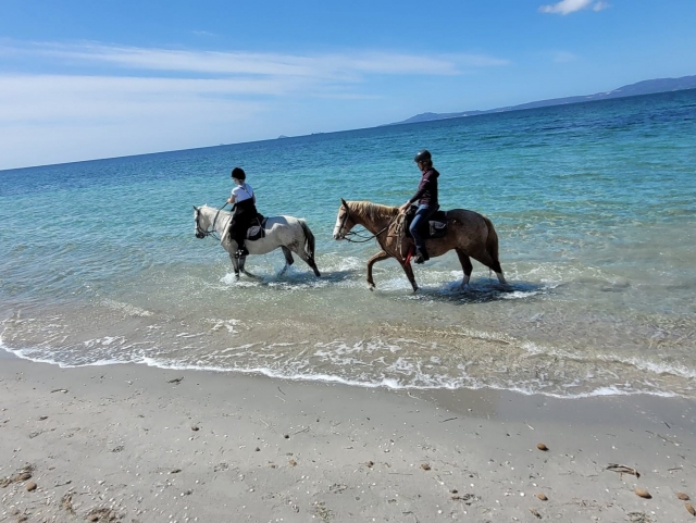 Pbaños a caballo junto al mar