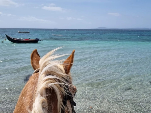 A caballo en Cerdeña