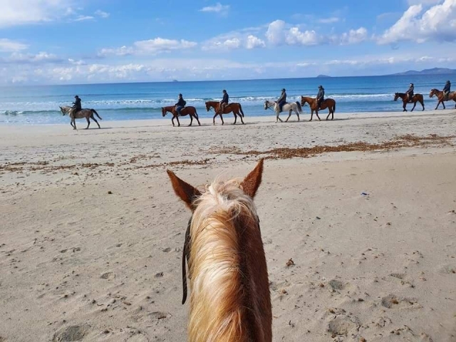 Pbaños a caballo por la playa