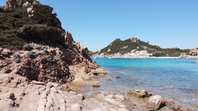 Paseo en barco con snorkel