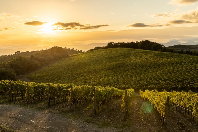  Atardeces en la finca Corle Pavone 