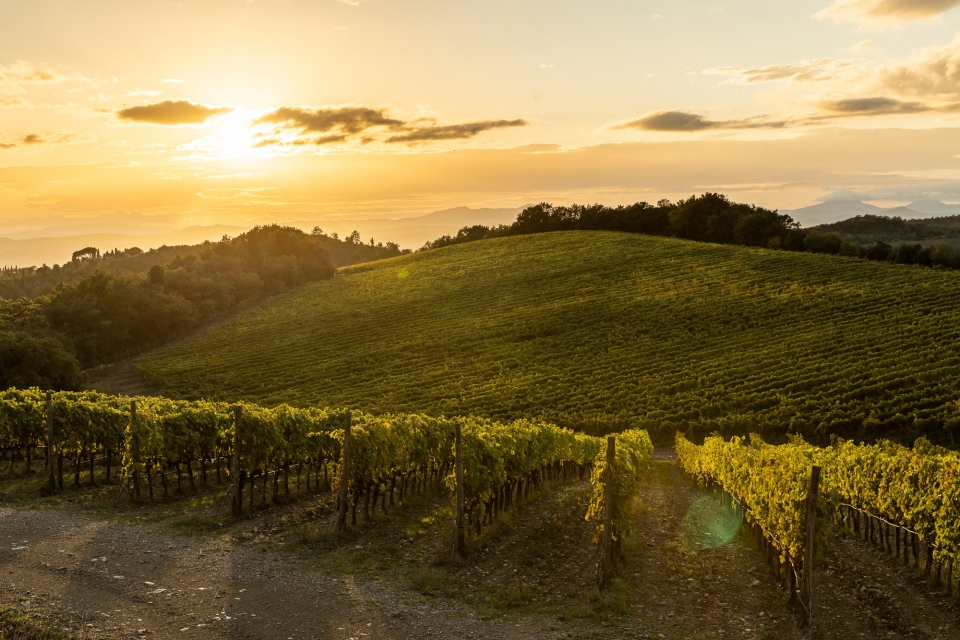  Atardeces en la finca Corle Pavone 