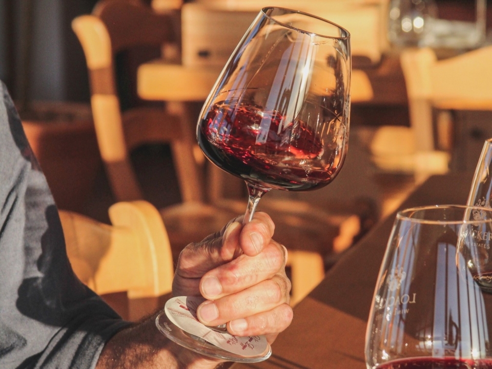  Degustación de 6 vinos de Montalcino 