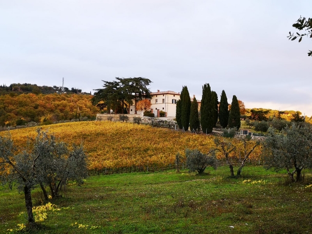  Nuestra finca en Siena 