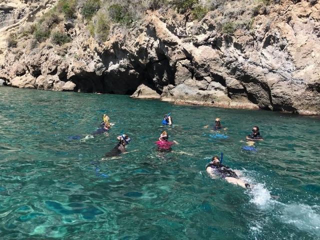 Snorkel en Ischia 