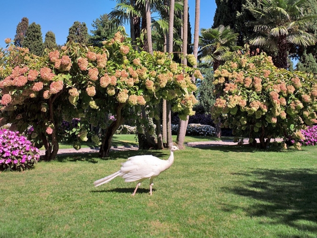  Maravillosos jardines de las islas 