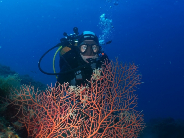  Fondo marino 