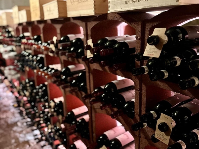  Nuestros vinos 