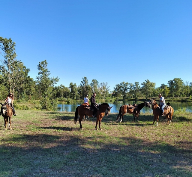  Paseo a caballo 