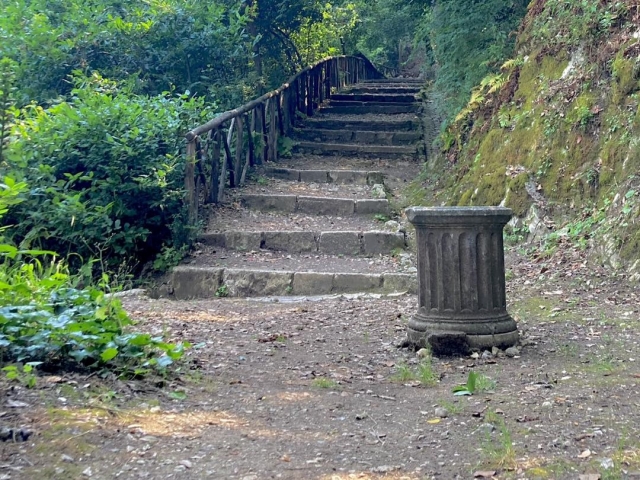  Senderos del parque 