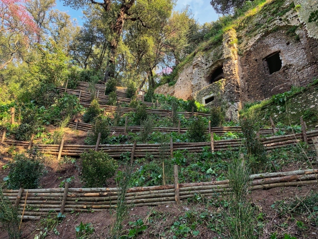  Antiguas estructuras de piedra 