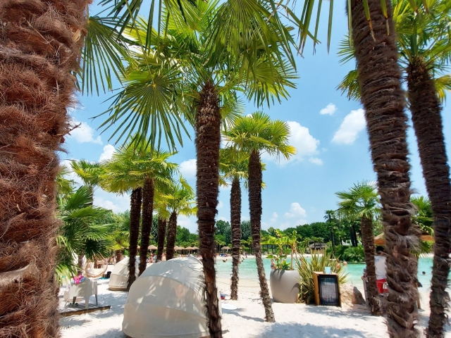  Un oasis de paz 