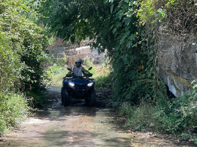  Manejando por el campo 