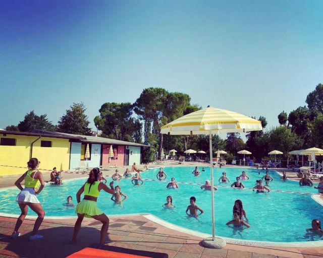 Nuestras animaciones