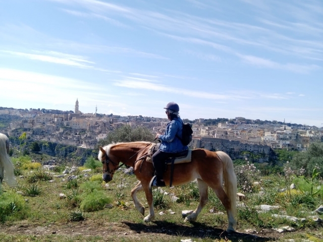 Cabalgamarra para principiantes 