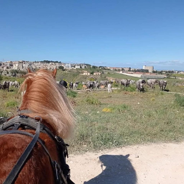 Espléndidas vistas