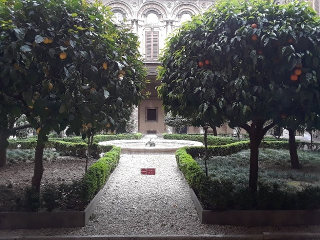  Huerto exterior 