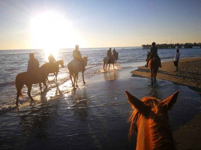  Junto al mar con nuestros corceles 