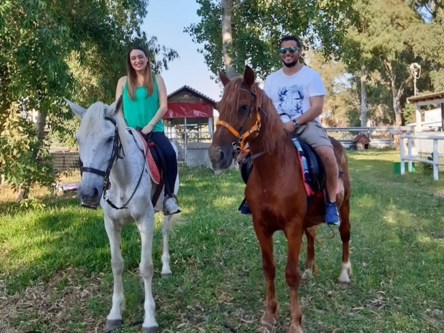  Nuestros caballos 