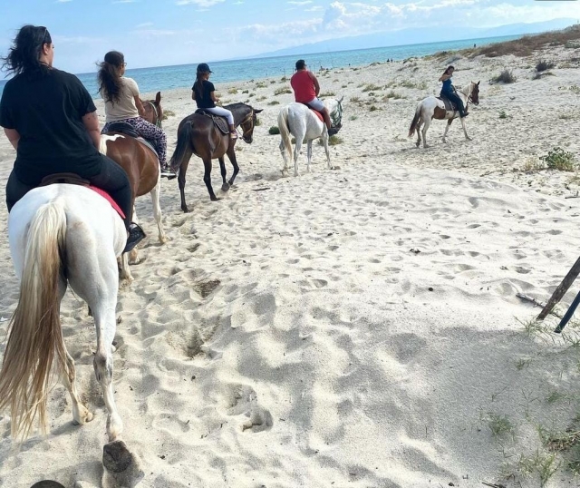  Paseo por la playa 