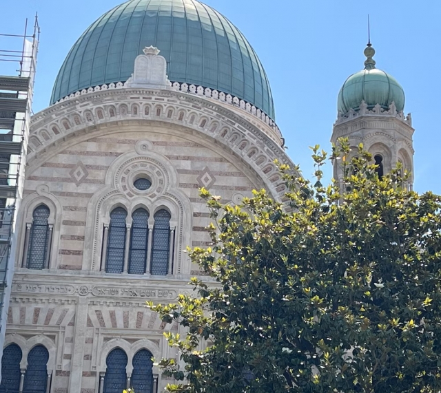  Vista de la sinagoga 