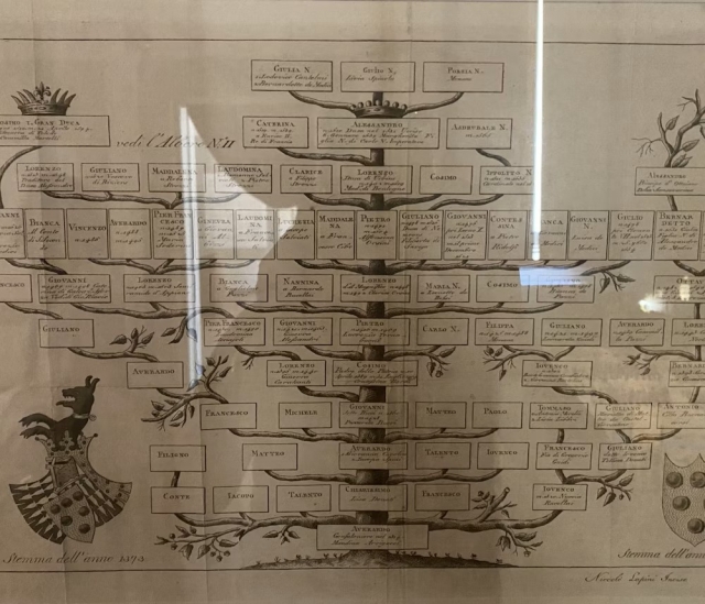  Árbol genealógico 