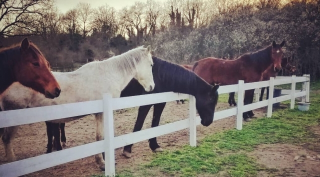 Justo antes de la salida