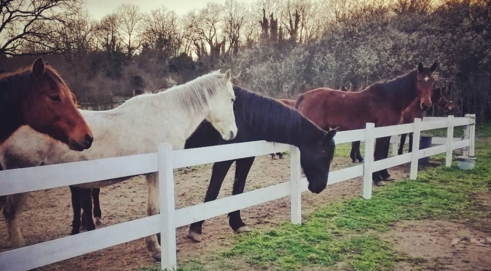 Justo antes de la salida   Justo antes de la salida