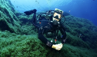 Descubre el Buceo Playa Procchio 3H