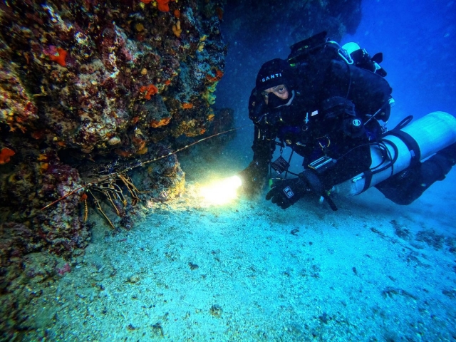  Buceo en los fondos marinos de Elba