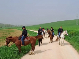 Camicrema de caballos en la vegetación de Narni 1