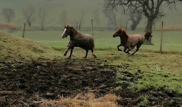  en la parte superior juntos