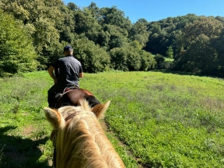 Paseo a caballo en el verdor de Narni 1h + aperitivo