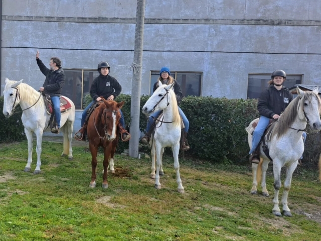  Explore Narni a caballo