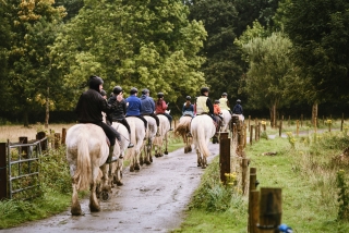 Pbaños a caballo por la campiña de Olgiate Comasco 1h