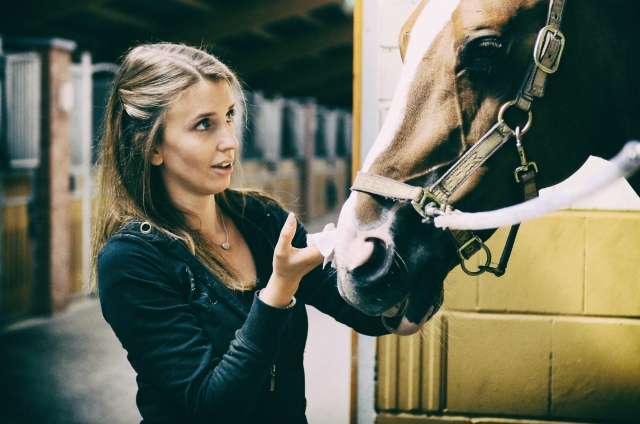  Preparación del caballo 