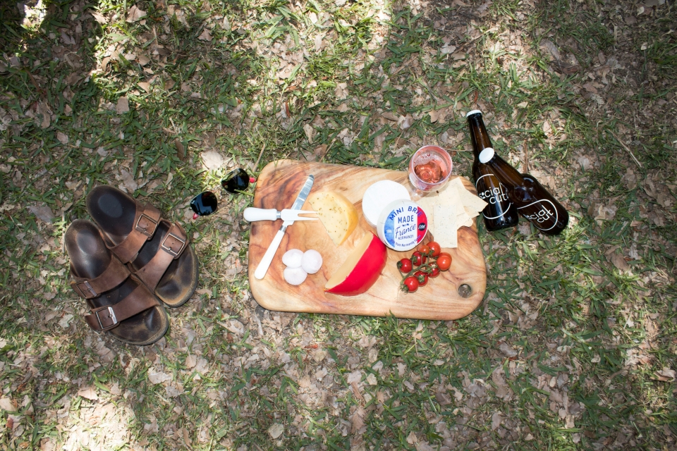 Picnic Picnic