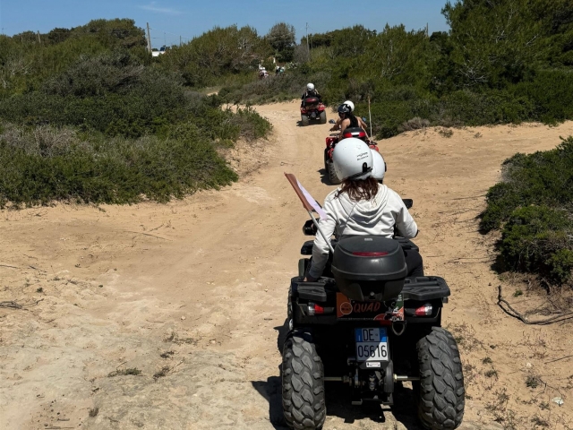 Tour en grupo