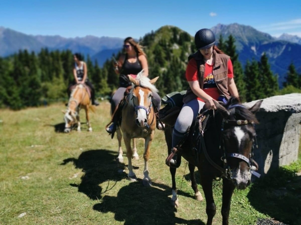 Paseo en grupo  Paseo en grupo