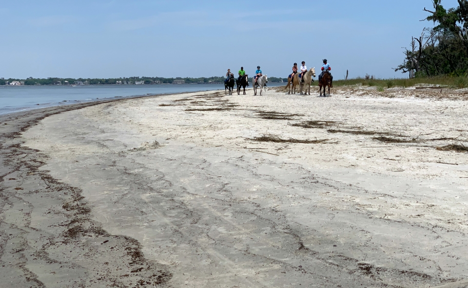 Pbaños a caballo por la playa de Versilia   Pbaños a caballo por la playa de Versilia