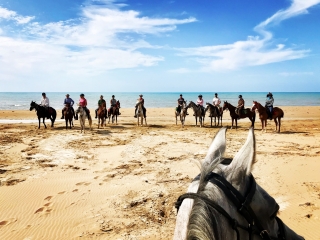 Paseo a caballo por la playa de S. Ambrogio + almuerzo 7h