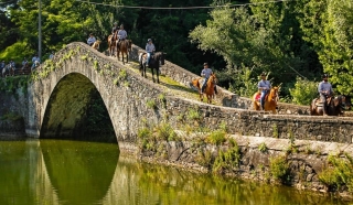 Paseo a caballo de 1 hora por el bosque de Garfagnana.