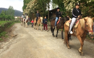 Paseo a caballo de 2 horas por las colinas de Garfagnana. Paseo a caballo de 2 horas por las colinas de Garfagnana.